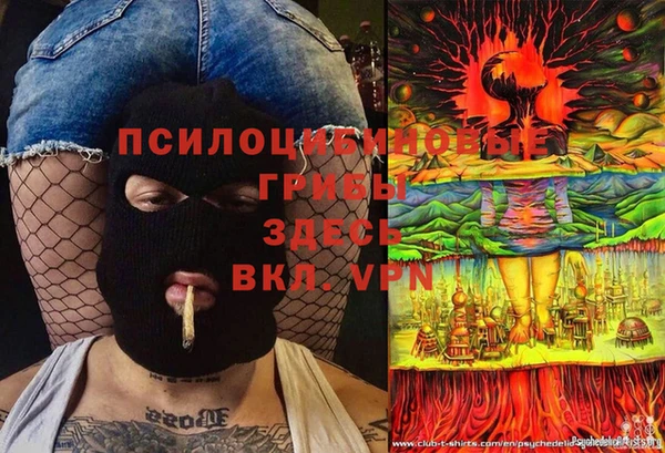 тгк Абаза