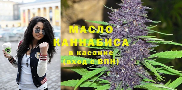 тгк Абаза