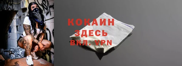 тгк Абаза