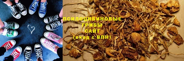 тгк Абаза
