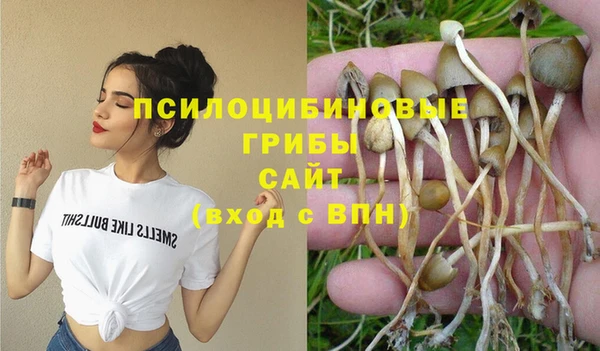 PSILOCYBIN Абдулино