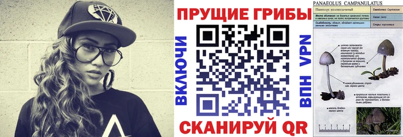 Псилоцибиновые грибы прущие грибы  MEGA сайт  Барнаул 